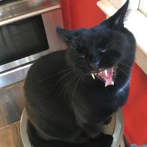 Meet your Posher, Faith